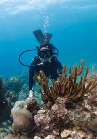 Advanced diving course