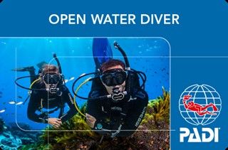 PADI Courses: PADI Open Water Diver Course in Elquseir