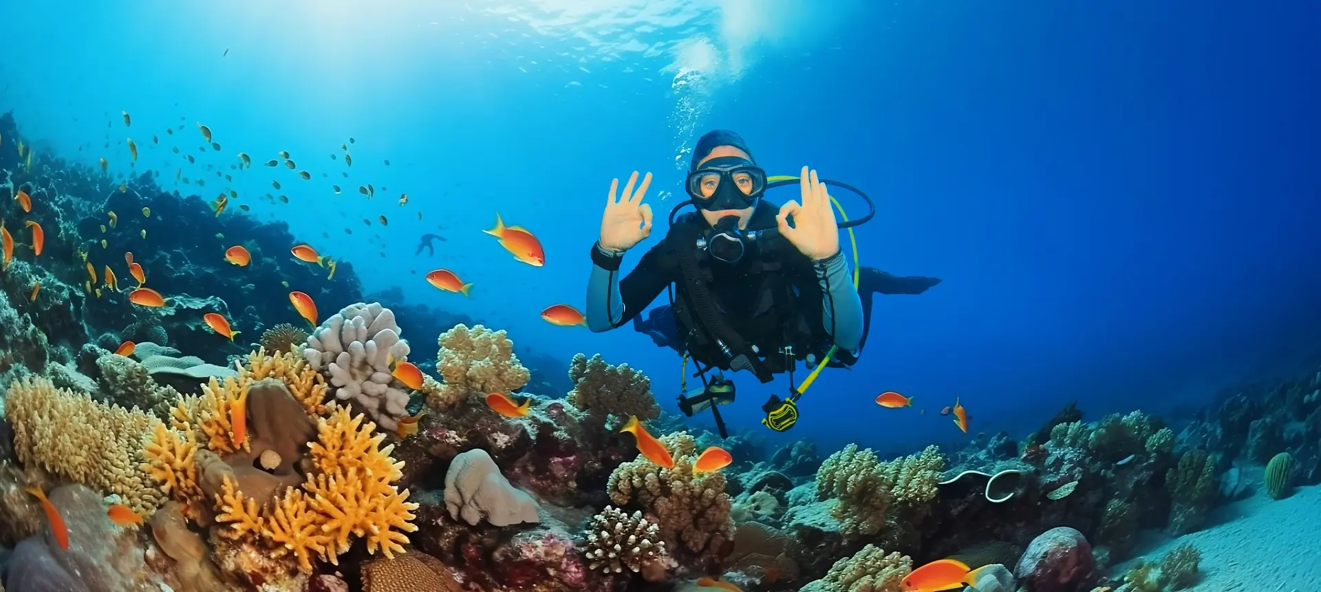 Upgrade from Scuba Diver to Open Water Diver