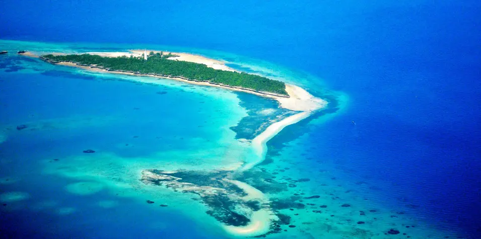 Ontdek Mnemba Atoll en meer – Duik met lokale experts