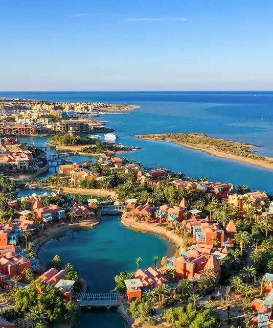 Explore the Best Dive Sites in El Gouna